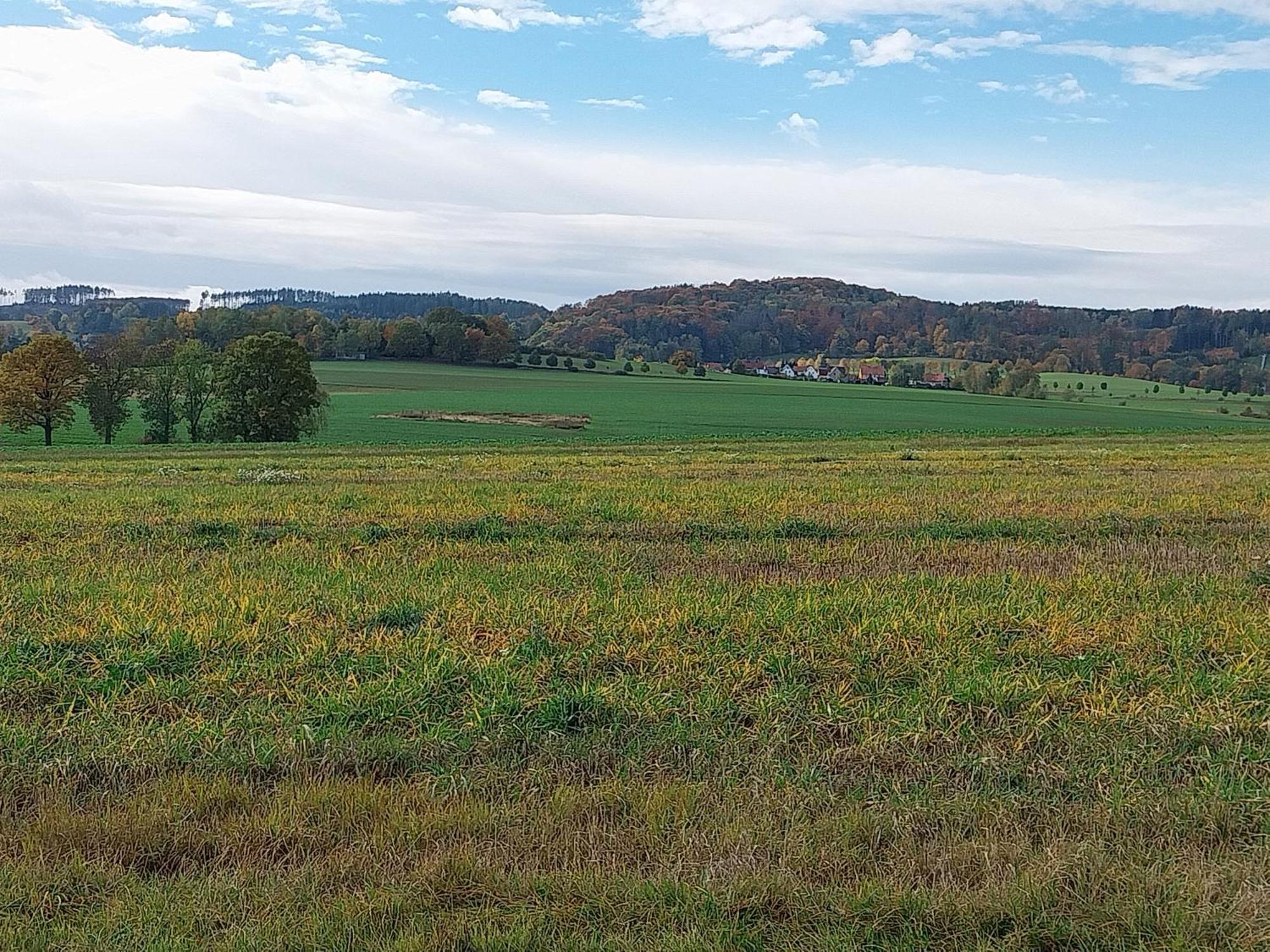 Landhotel Waldschloesschen Mit Gaststube Sohland an der Spree Екстериор снимка