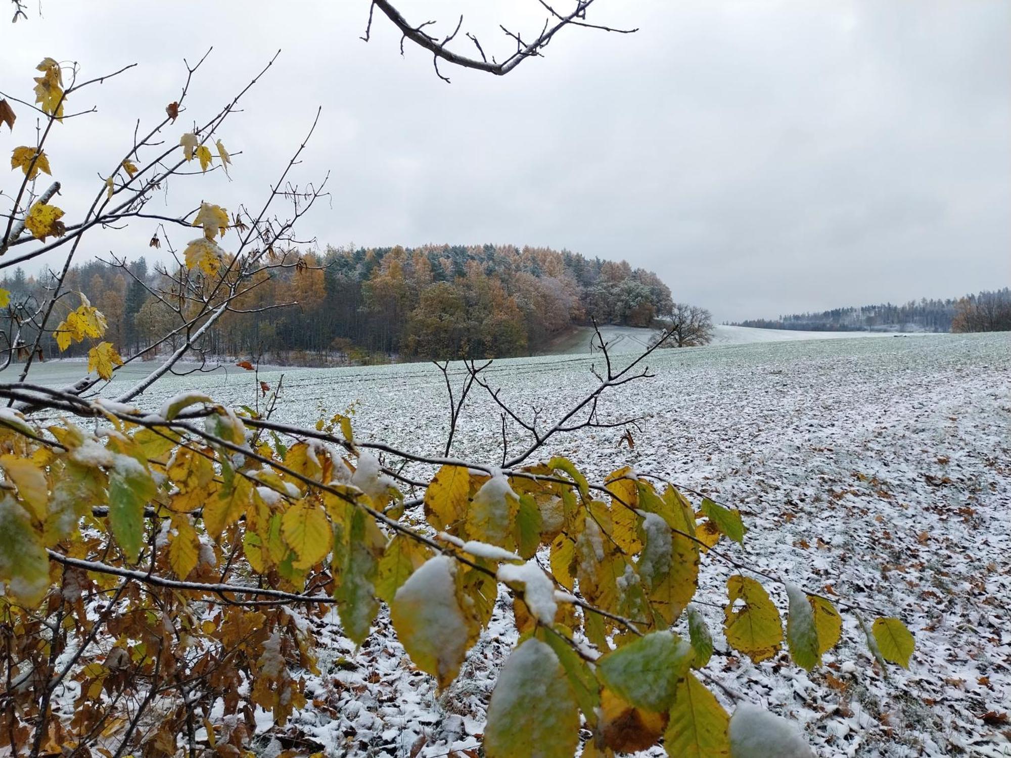 Landhotel Waldschloesschen Mit Gaststube Sohland an der Spree Екстериор снимка