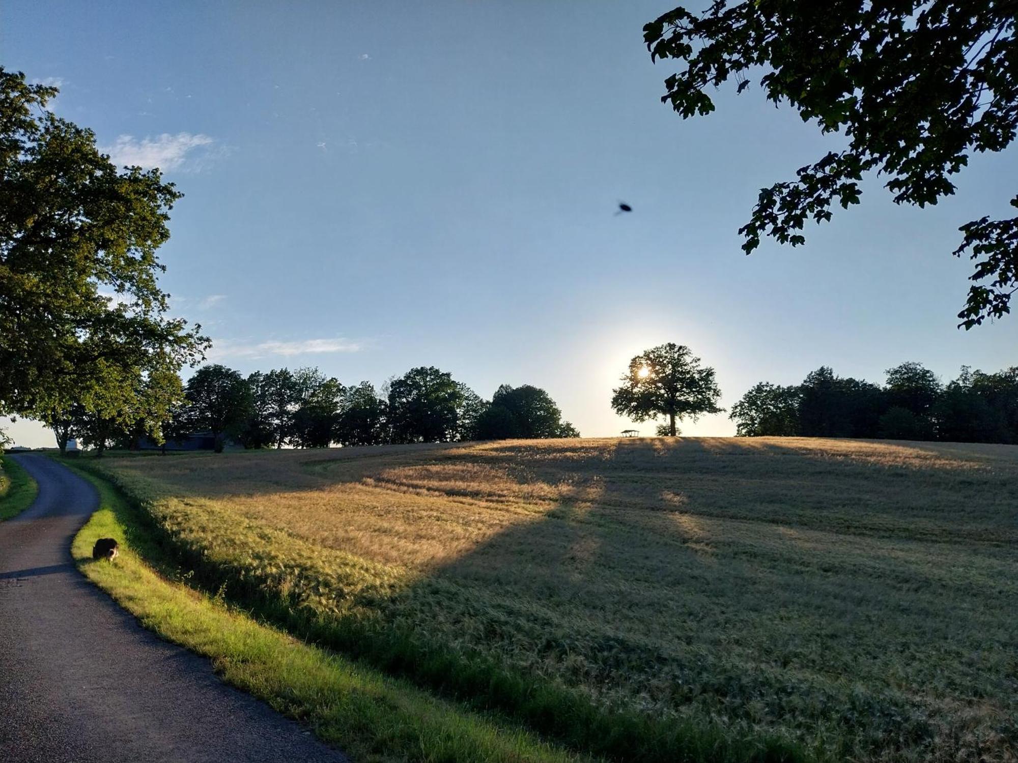 Landhotel Waldschloesschen Mit Gaststube Sohland an der Spree Екстериор снимка